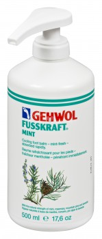 gehwol fusskraft menthe 500 ml avec pompe g11110411 gehwol fusskraft menthe 500 ml avec pompe g11110411